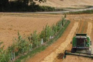 Traktor bewirtschaftet ein Feld zwischen Bäumen