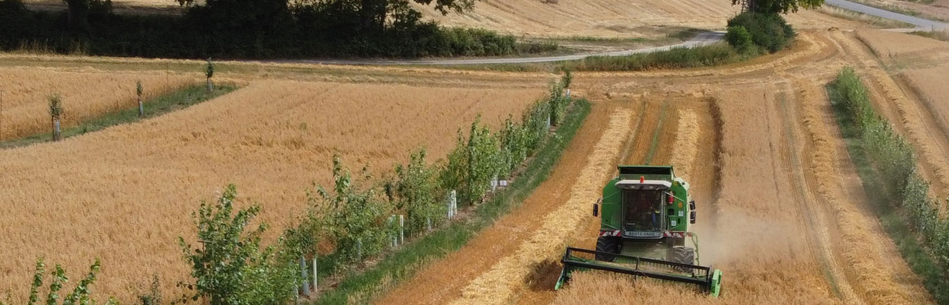 Traktor bewirtschaftet ein Feld zwischen Bäumen