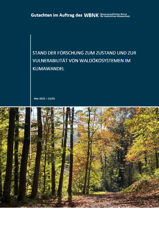 Stand der Forschung zum Zustand und zur Vulnerabilität von Waldökosystemen im Klimawandel
